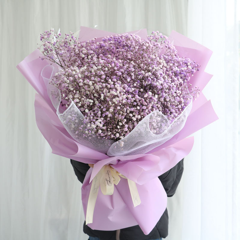 满天星北京天津上海深圳同城鲜花鲜花速递生日鲜花做干花花束