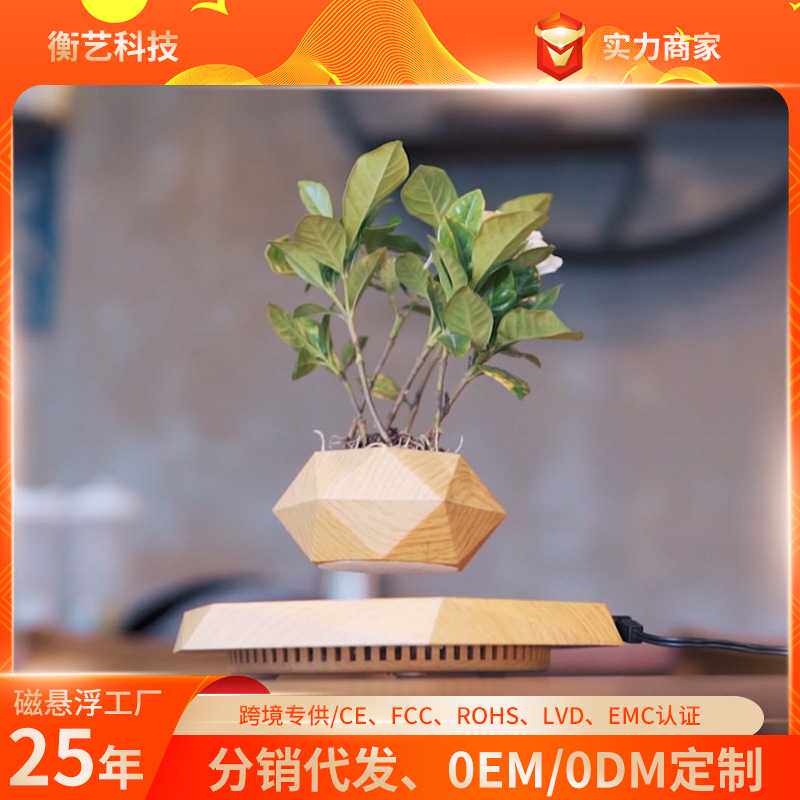 磁悬浮盆栽新奇特花盆创意盆景工艺品礼品礼物ins风客厅摆件