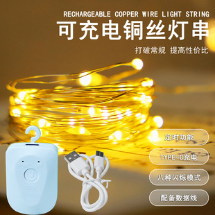 新品纽扣款可充电铜线灯串鲜花装饰灯led铜丝礼物氛围灯圣诞装饰