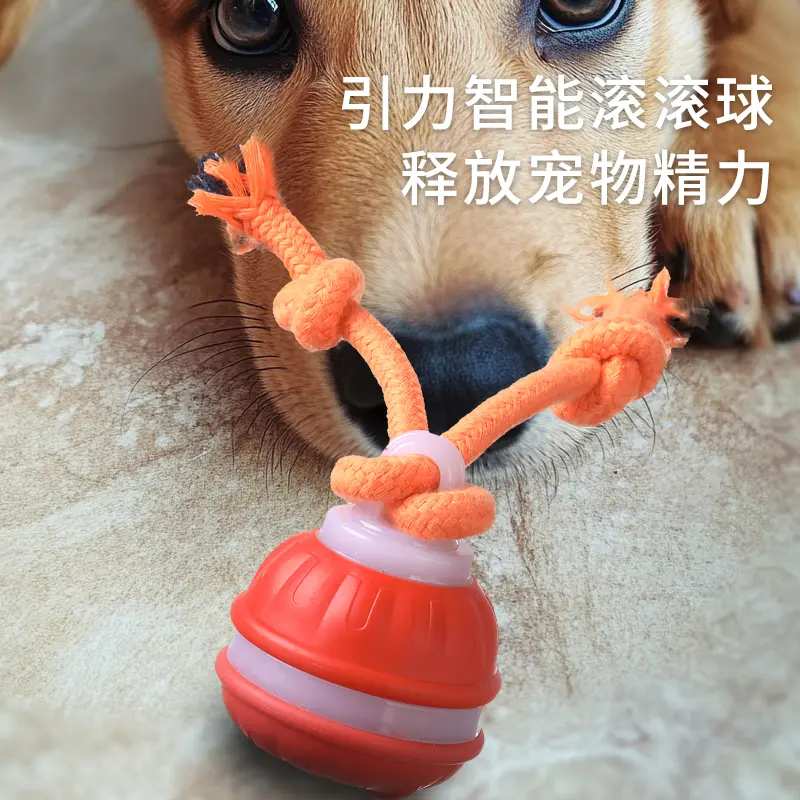 电动狗狗玩具跑动解闷逗猫逗狗图片