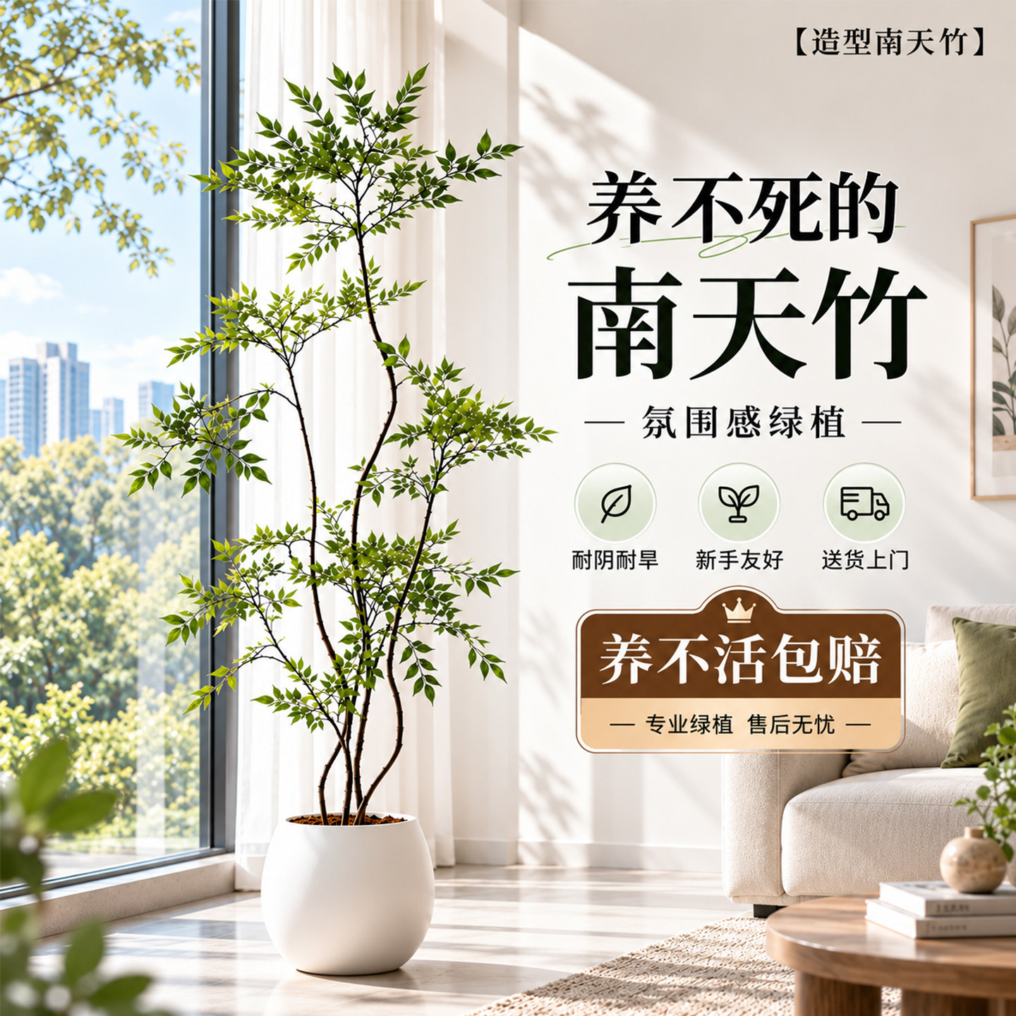 南天竹客厅绿植盆栽真树室内大型高级感植物好养大气上档次轻奢