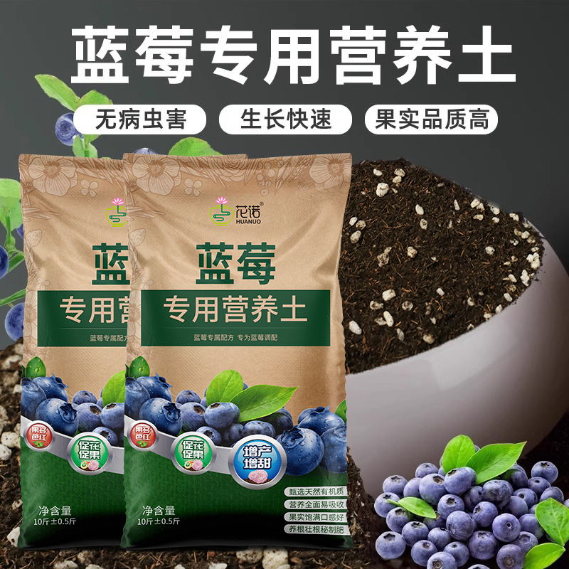 蓝莓树盆栽专用土果树土壤种植