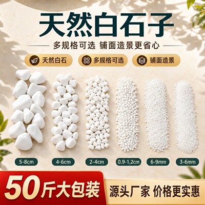 天然白石子石头大鹅卵石铺路造景