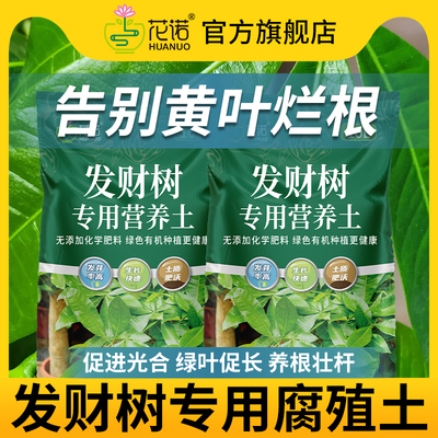 种养发财树专用土营养土花土盆栽土壤发财树肥料专用肥泥土腐殖土