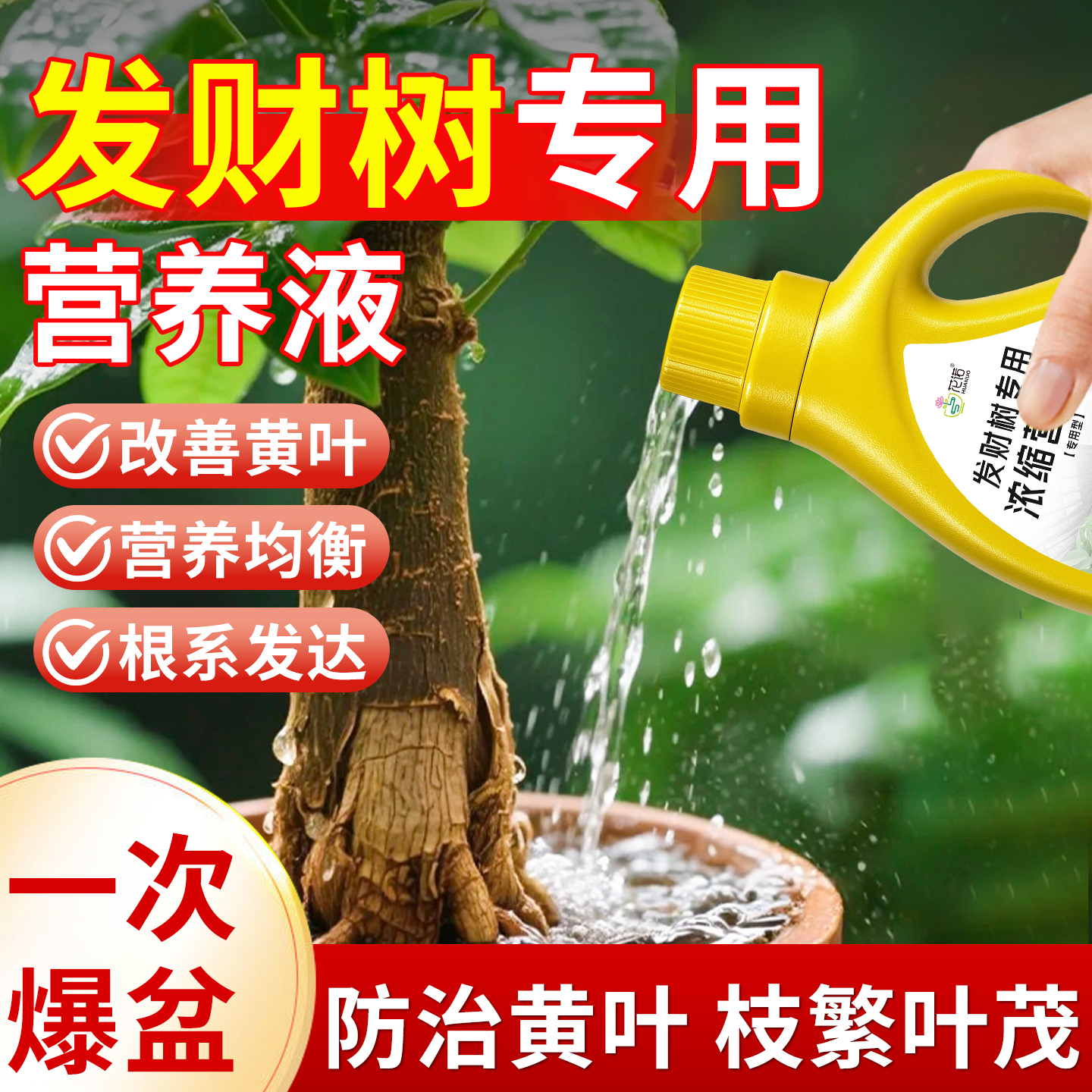 发财树专用营养液肥料治发黄掉叶