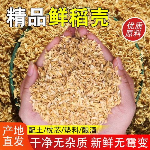 稻壳垫料新鲜谷壳粗糠米糠喂鸡宠物芦丁鸡垫料枕头芯填充酿酒饲料