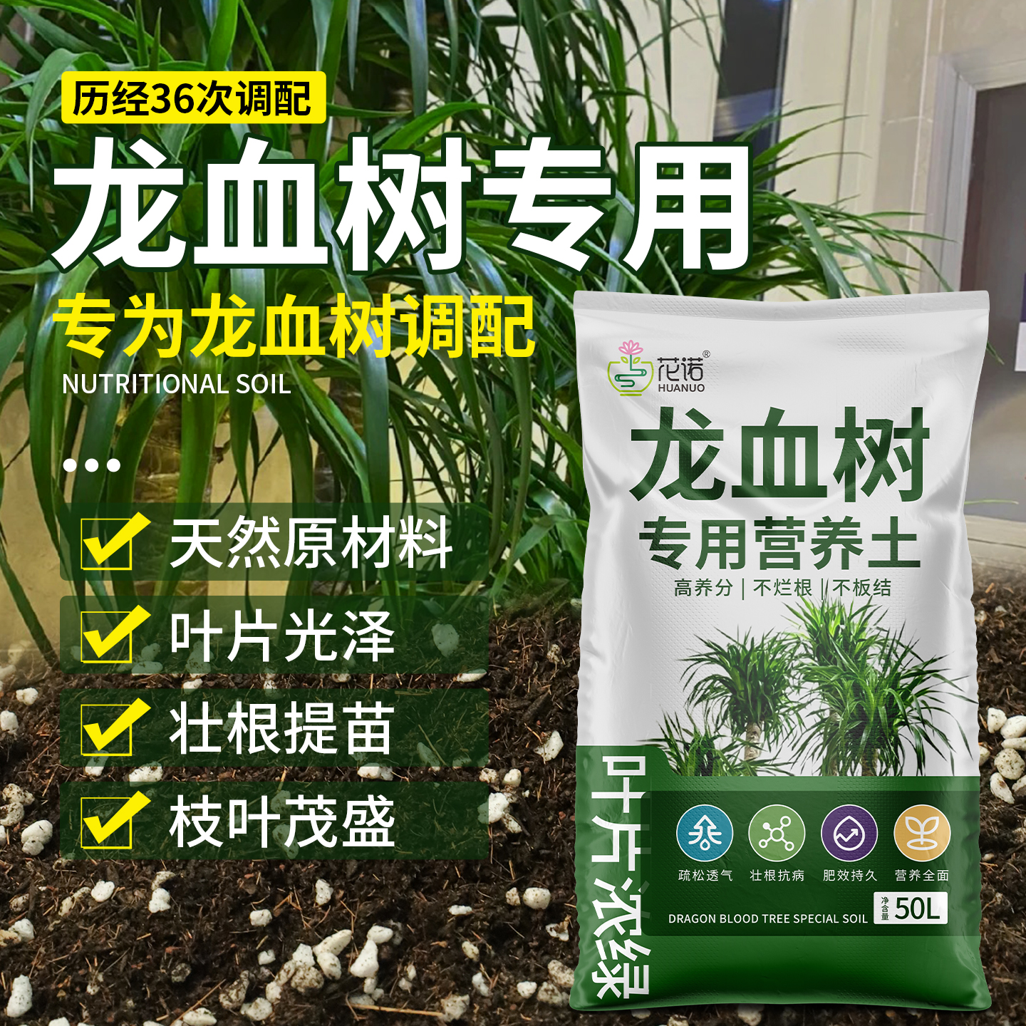 客厅绿植蓬松泥土无菌土