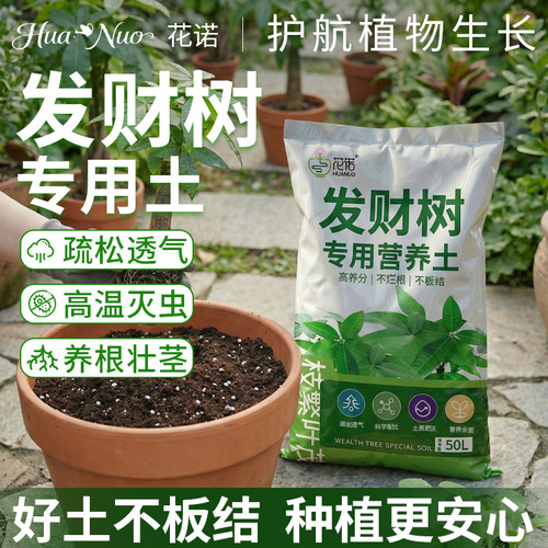 发财树专用营养土疏松透气种植土