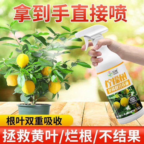 香水柠檬树肥料专用肥柠檬树营养液免稀释叶子发黄干枯盆栽植物花