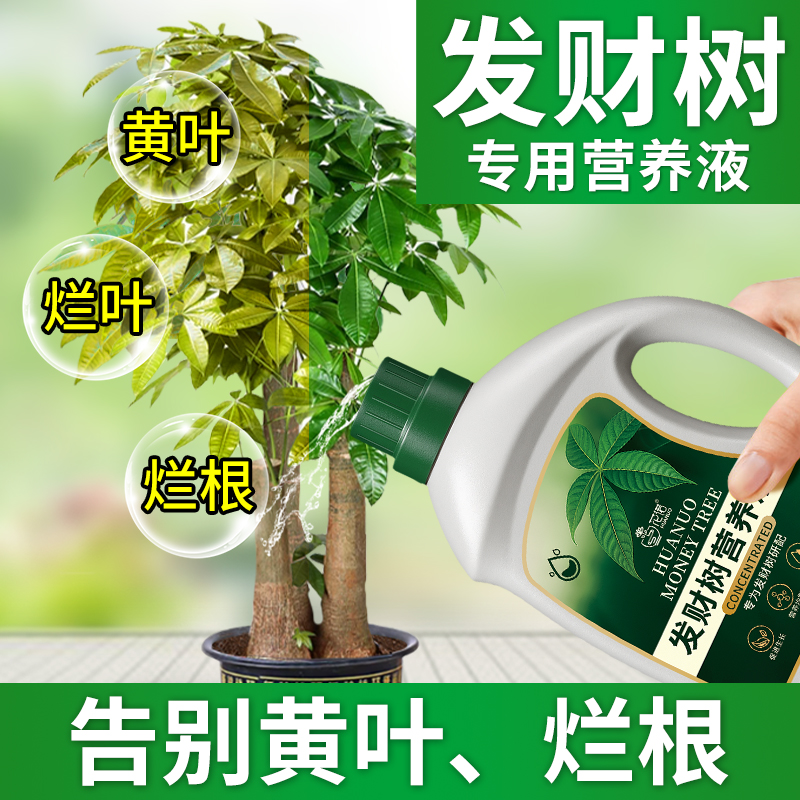 发财树肥料专用肥营养液通用花肥
