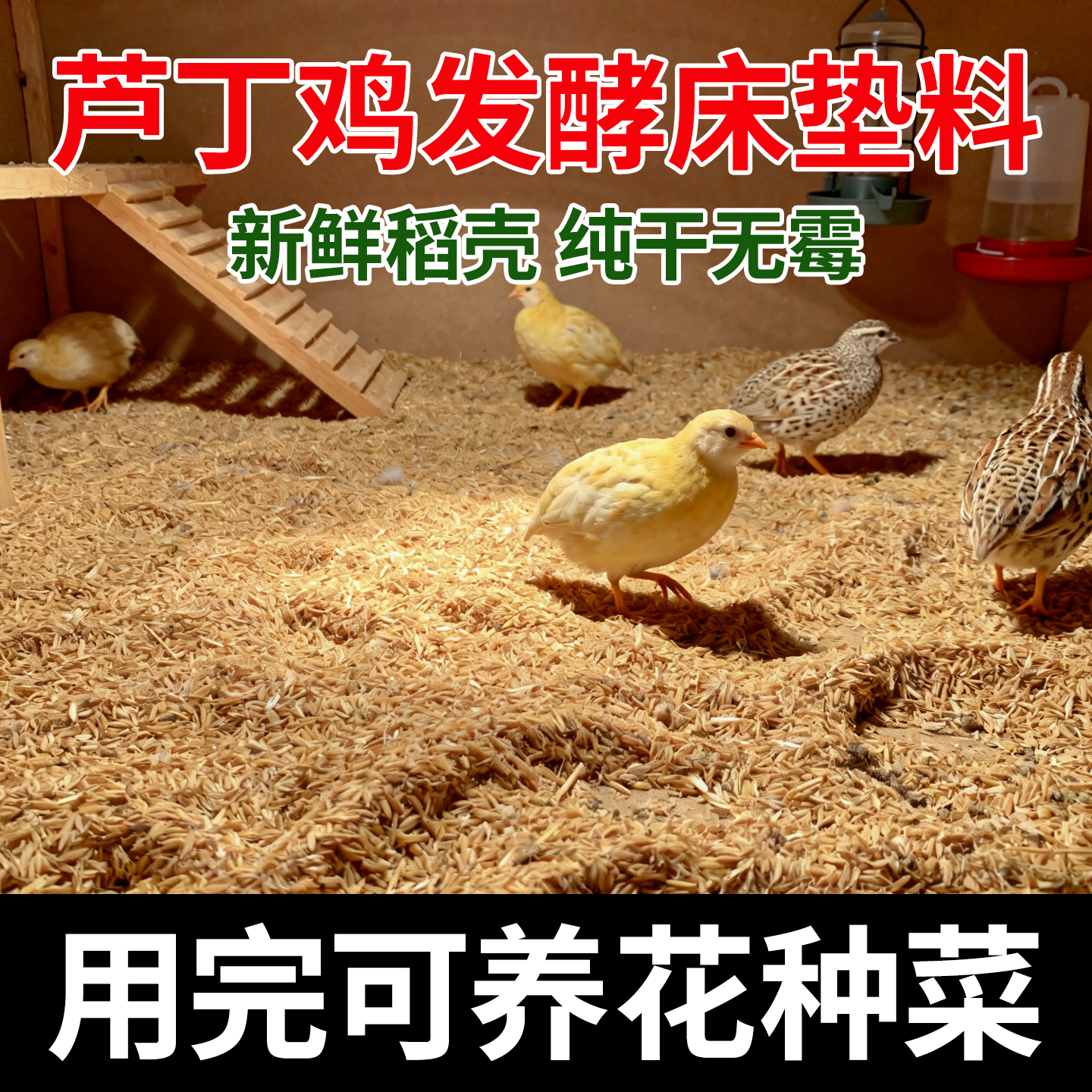 芦丁鸡发酵床垫料宠物鸡饲养垫料
