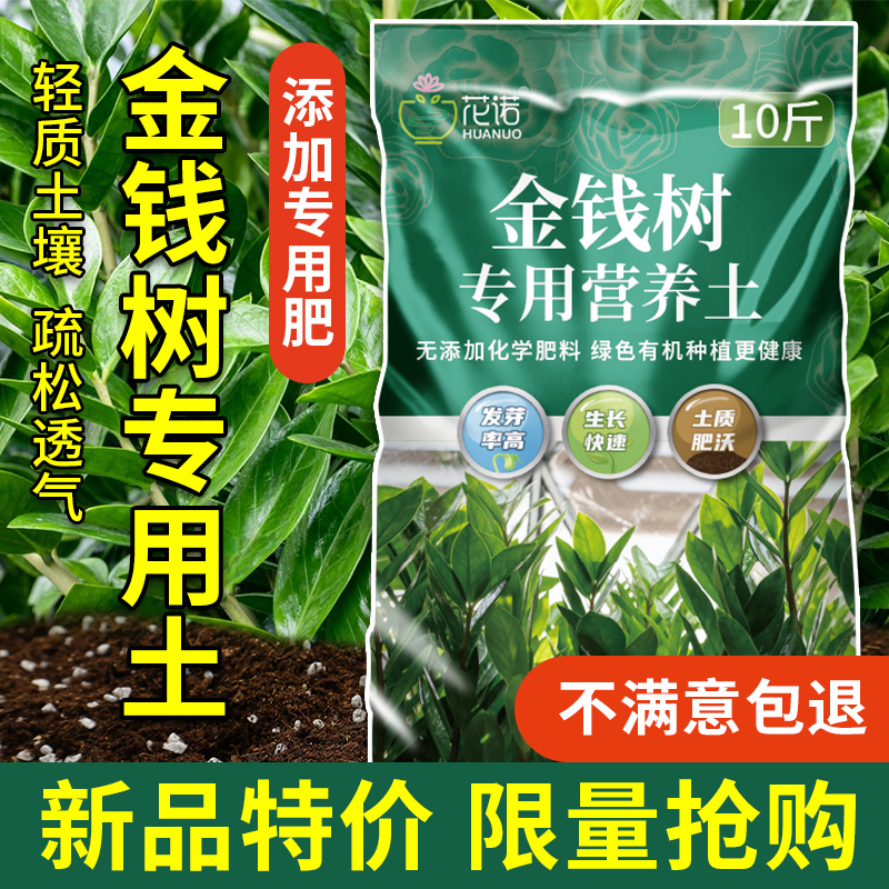 金钱树专用土花土营养土通用种金钱树肥料专用肥盆栽泥土种植土壤