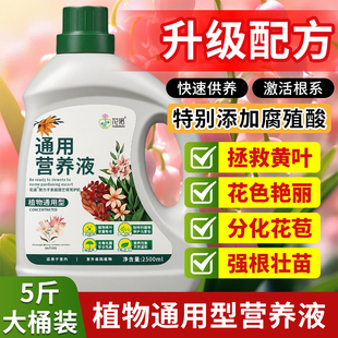 营养液植物通用型绿植花卉绿萝发财树水培家用盆栽液体肥养花肥料