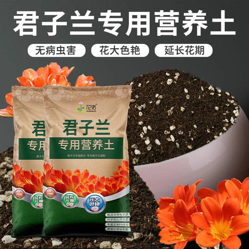 君子兰专用土花土营养土