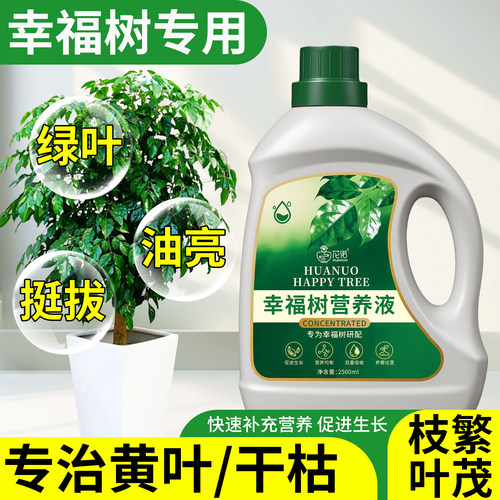 幸福树专用营养液肥料治黄叶落叶