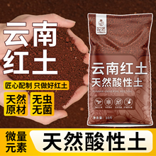 红土微酸弱酸性土壤铁元素丰富红泥土蓝莓盆栽盆景茉莉花土专用土