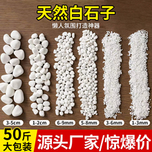 50斤装白色石子石头大鹅卵石庭院铺路铺地小白石头造景景观白石子