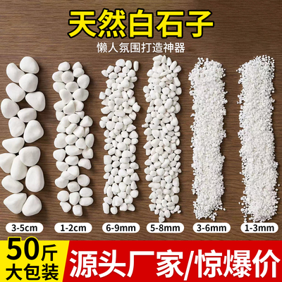 天然白石子石头大鹅卵石铺路造景