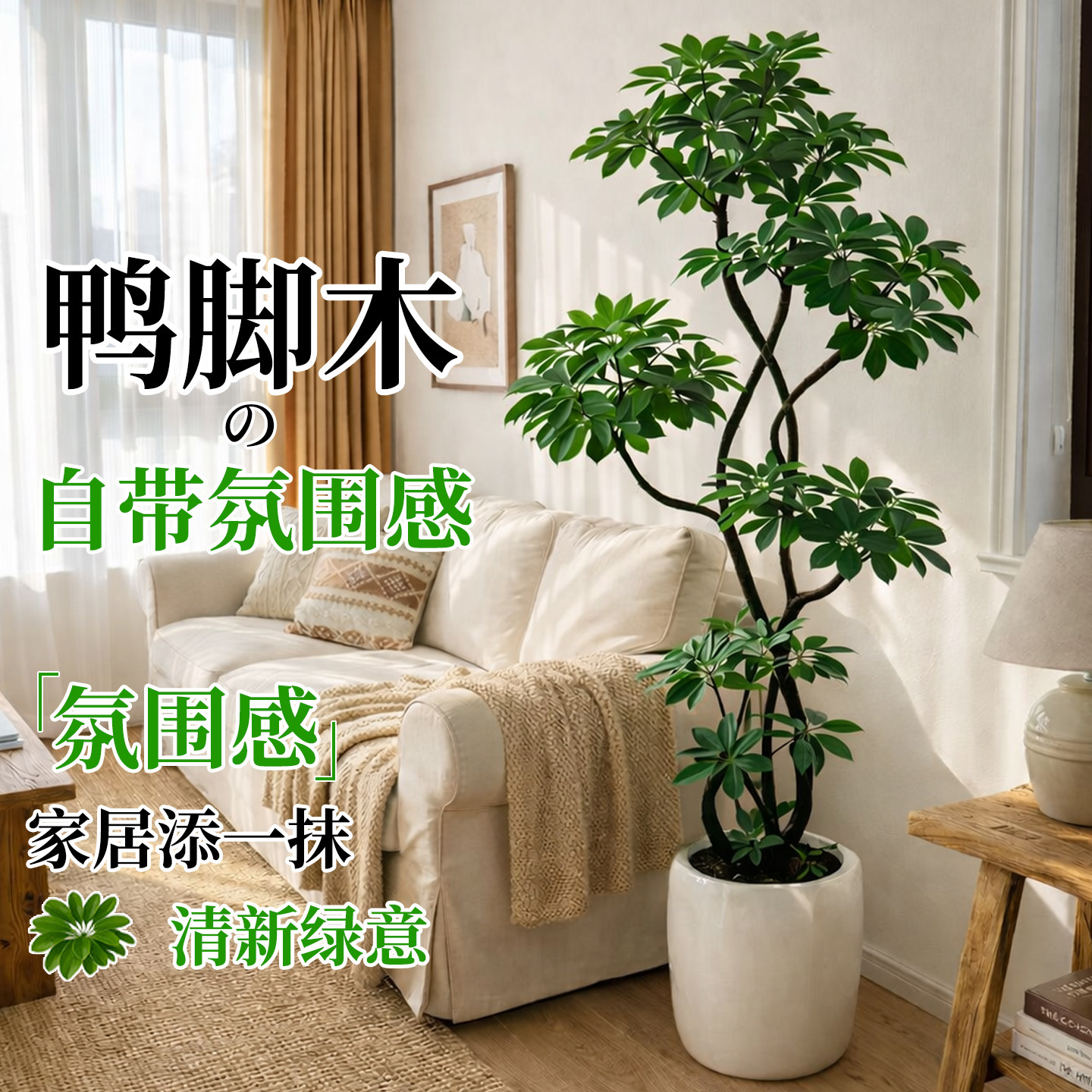 造型鸭脚木客厅绿植高级感室内大型盆栽高端大气上档次落地鸭掌木,鲜花速递/花卉仿真/绿植园艺,大型绿植/成品组合盆栽,淘宝优惠券,粉丝福利购,淘宝优惠卷