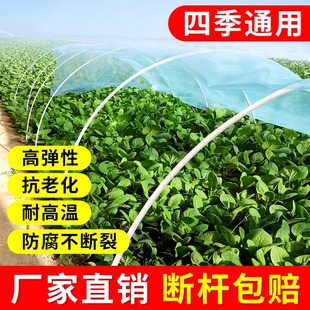 新型小拱棚支架实心玻璃纤维杆棒大棚塑料养殖骨架农家用菜棚支架