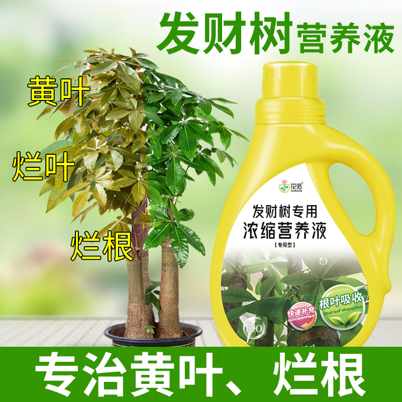 (底价冲量)发财树营养液专用肥料