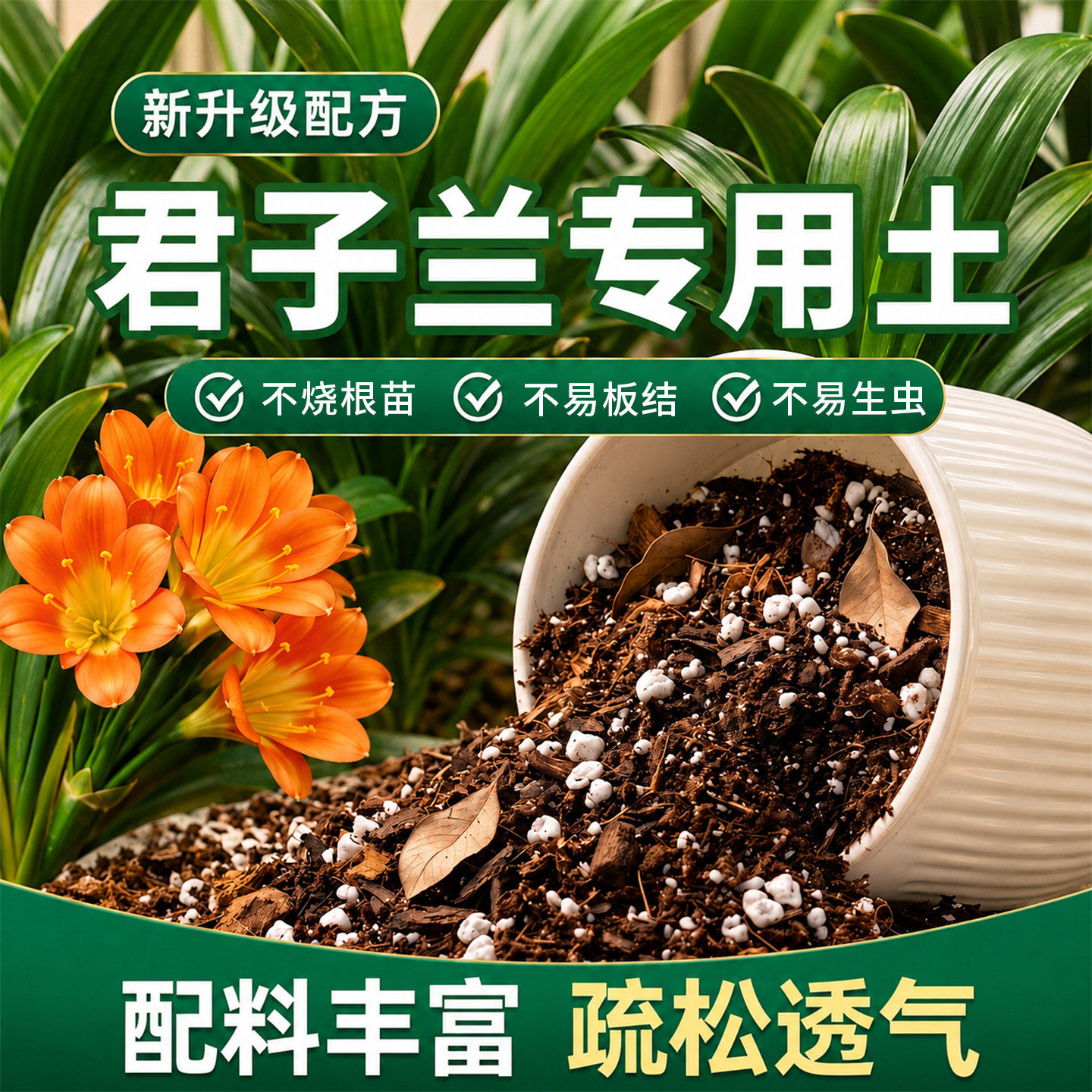 君子兰专用土营养土兰花土松针腐叶土盆栽种植肥料殖土壤家用透气