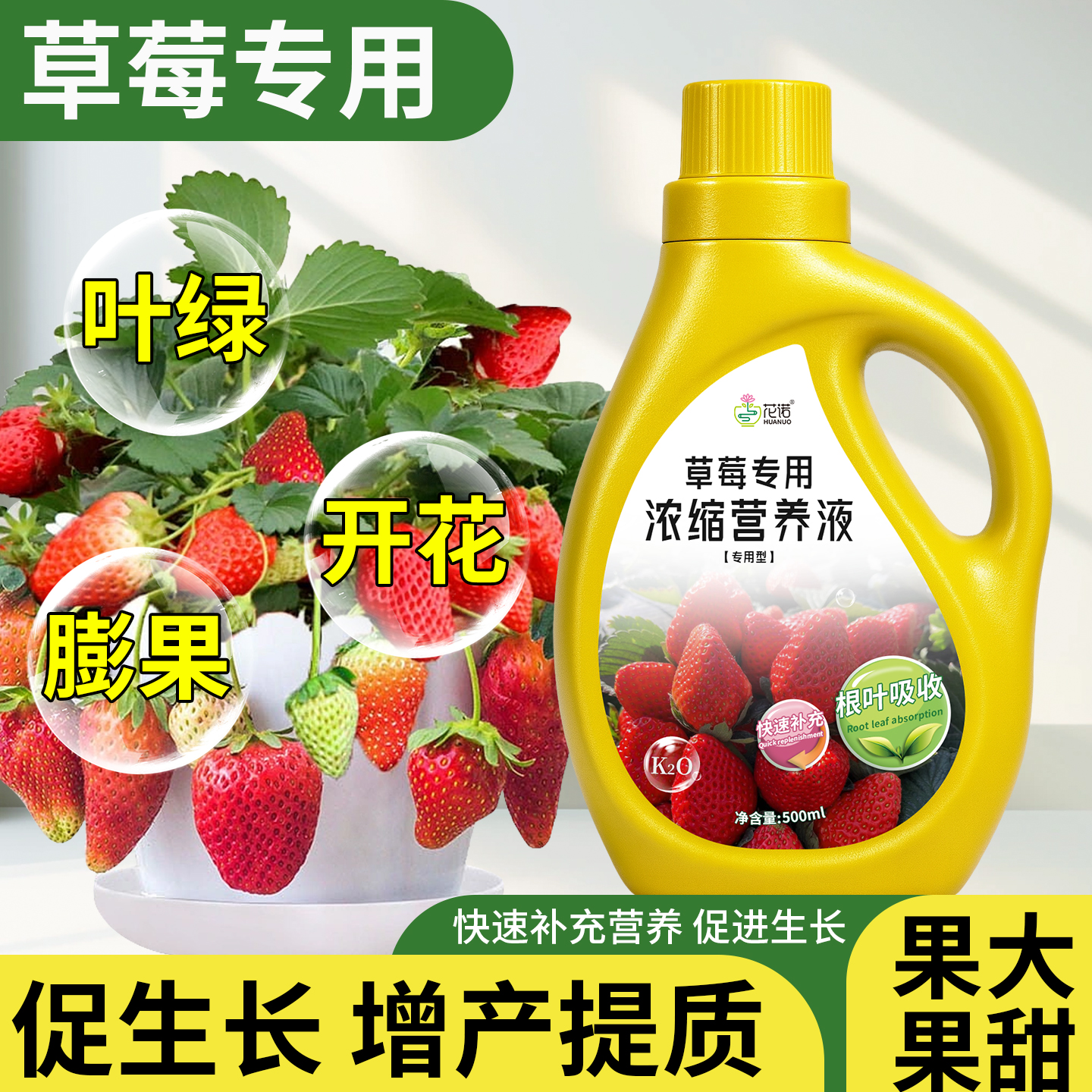 草莓营养液专用肥植物水培家用农家阳台盆栽肥料蔬菜水果绿植通用