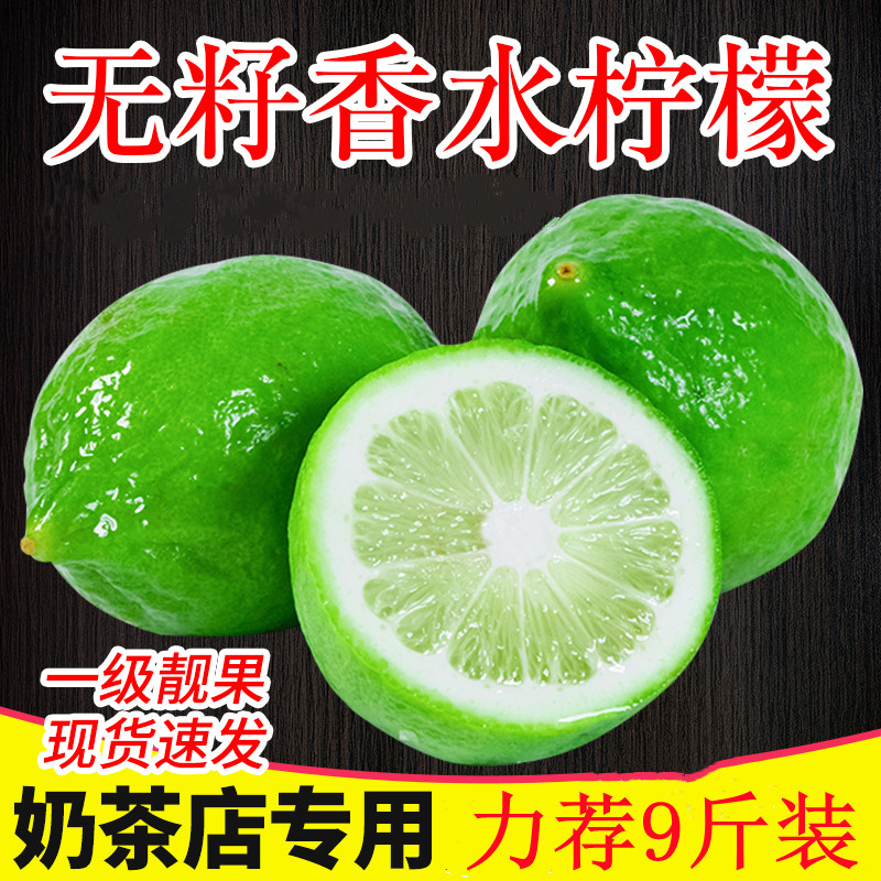 无籽香水柠檬新鲜奶茶店专用广东一级果净重5斤果园直发