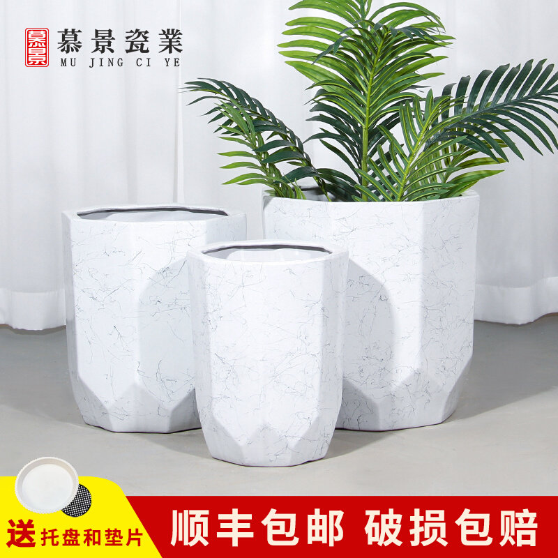 花盆陶瓷个性号特号简约阳台黄金葛文竹花盆