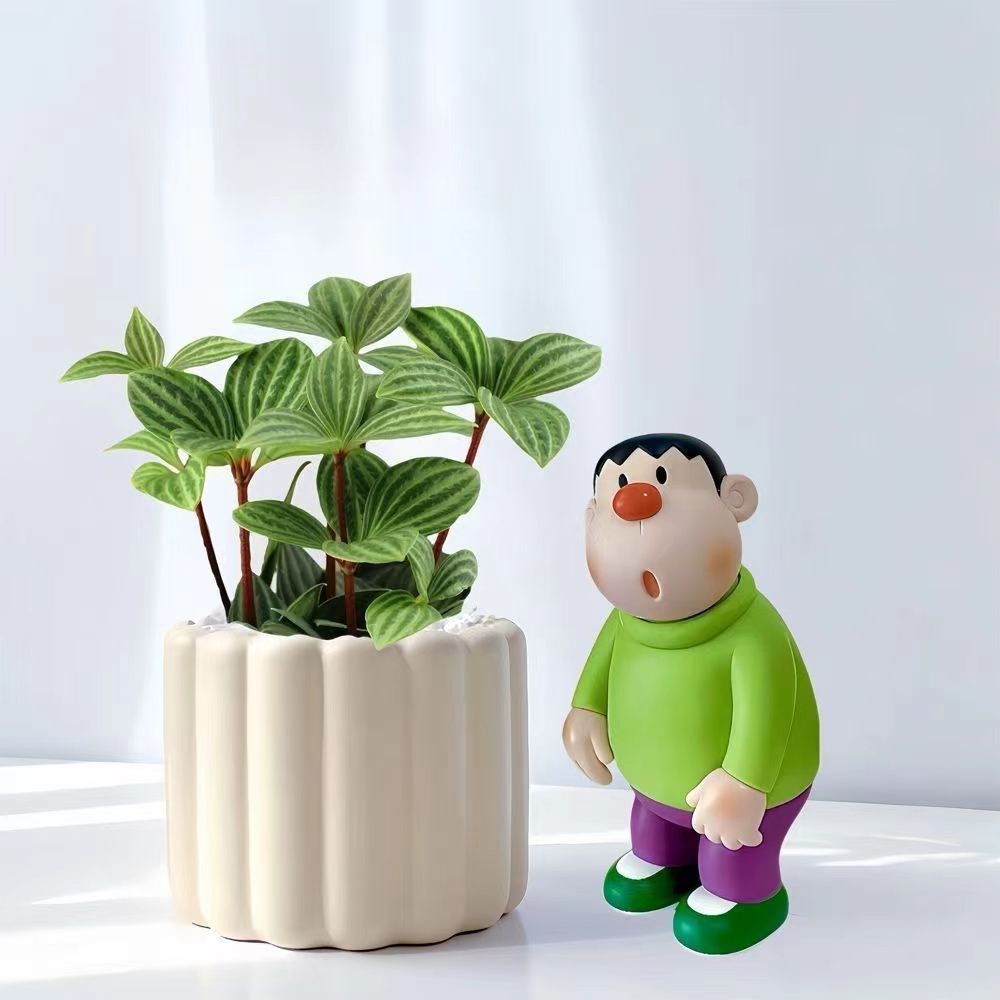 西瓜皮轮叶豆瓣绿办公室内防某射小盆栽新手耐阴好养观叶绿植花卉