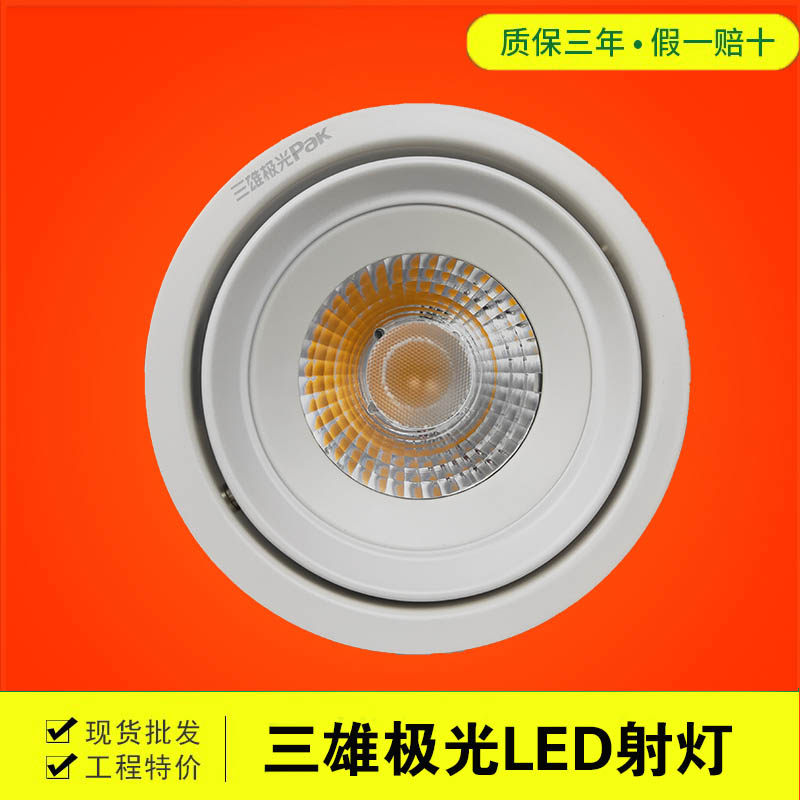 三雄极光led大功率橱窗射灯图片
