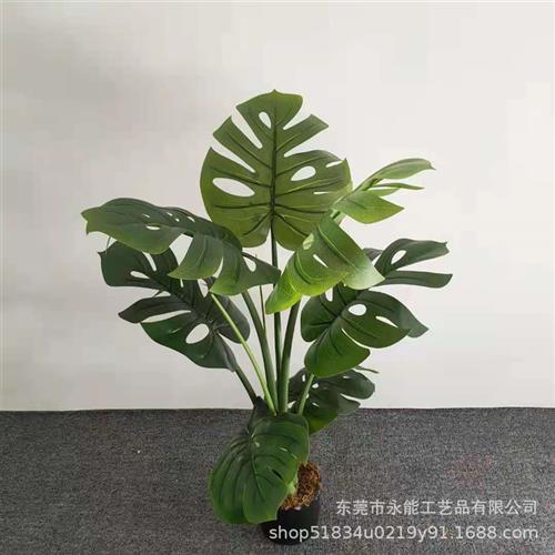 仿真新龟背树盆栽大型北欧ins龟背假树客厅居家落地造景装饰仿真