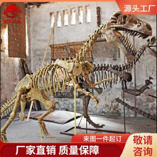 恐龙仿真骨架恐爪龙盗龙化石模型博物馆科普动物骨骼标本定制