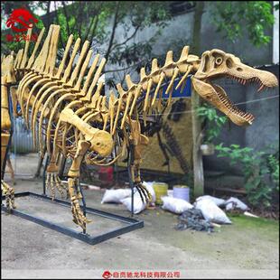大型仿真恐龙棘龙甲龙基龙骨架化石模型定做动物骨骼标本