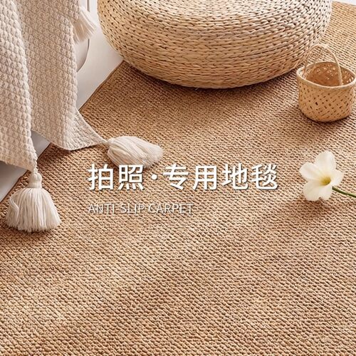 大宅菠萝圈耐脏纯色地毯客厅拍照背景布中古复古风仿剑麻卧室地垫