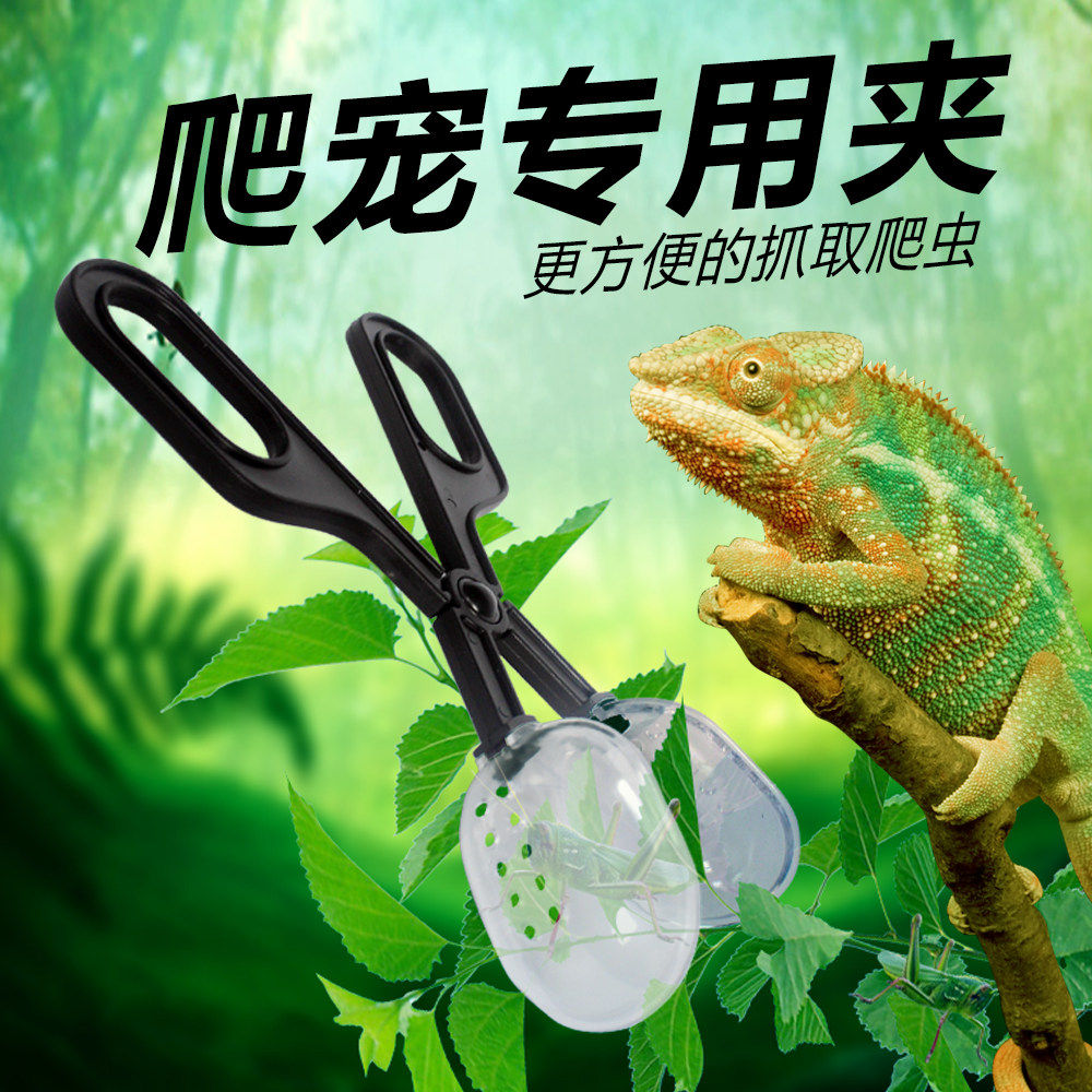 诺摩昆虫捕捉钳爬虫爬宠喂食钳黄粉虫杜比亚蟑螂蟋蟀蜘蛛捕捉夹