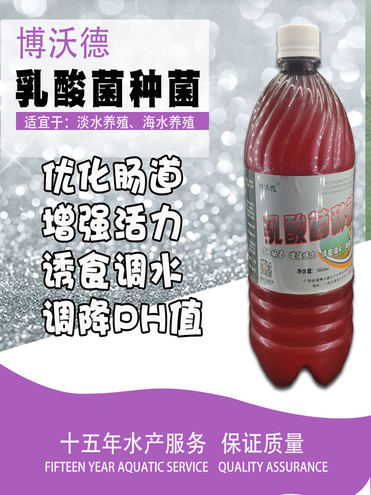 乳酸菌水产养殖专用药博沃德浓缩