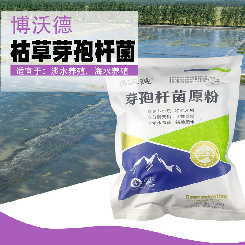 枯草杆菌水产养殖专用药博沃德