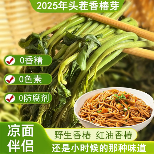 山东特产新鲜腌制香椿芽咸菜