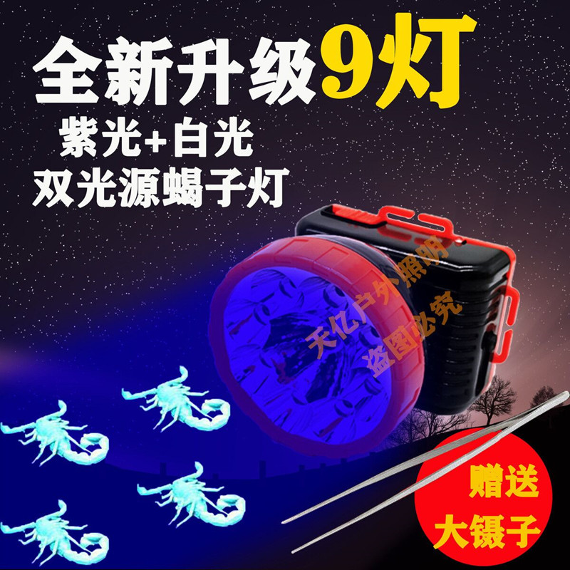 照蝎子知了猴蝉专用紫光灯高亮多手电筒
