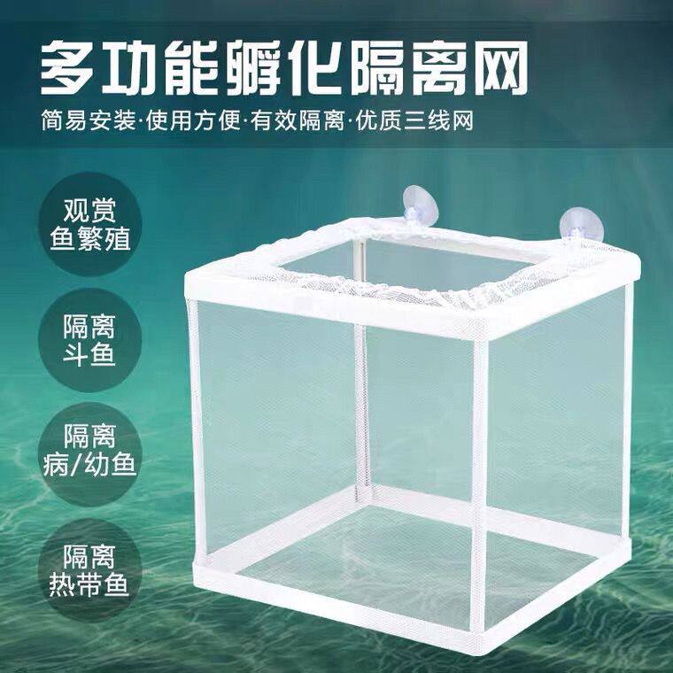 鱼缸内隔离网水族箱器盒