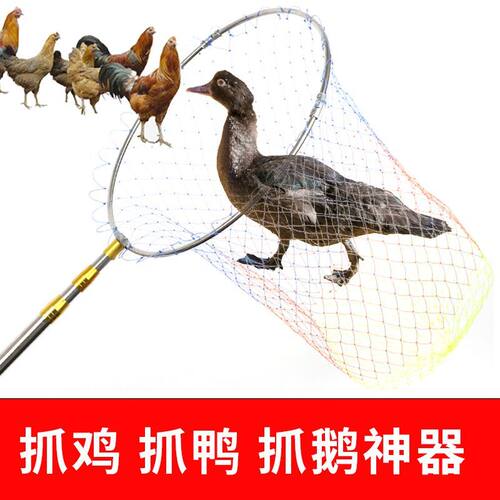 新款抓鸡神器捕捉鸡鸭鹅
