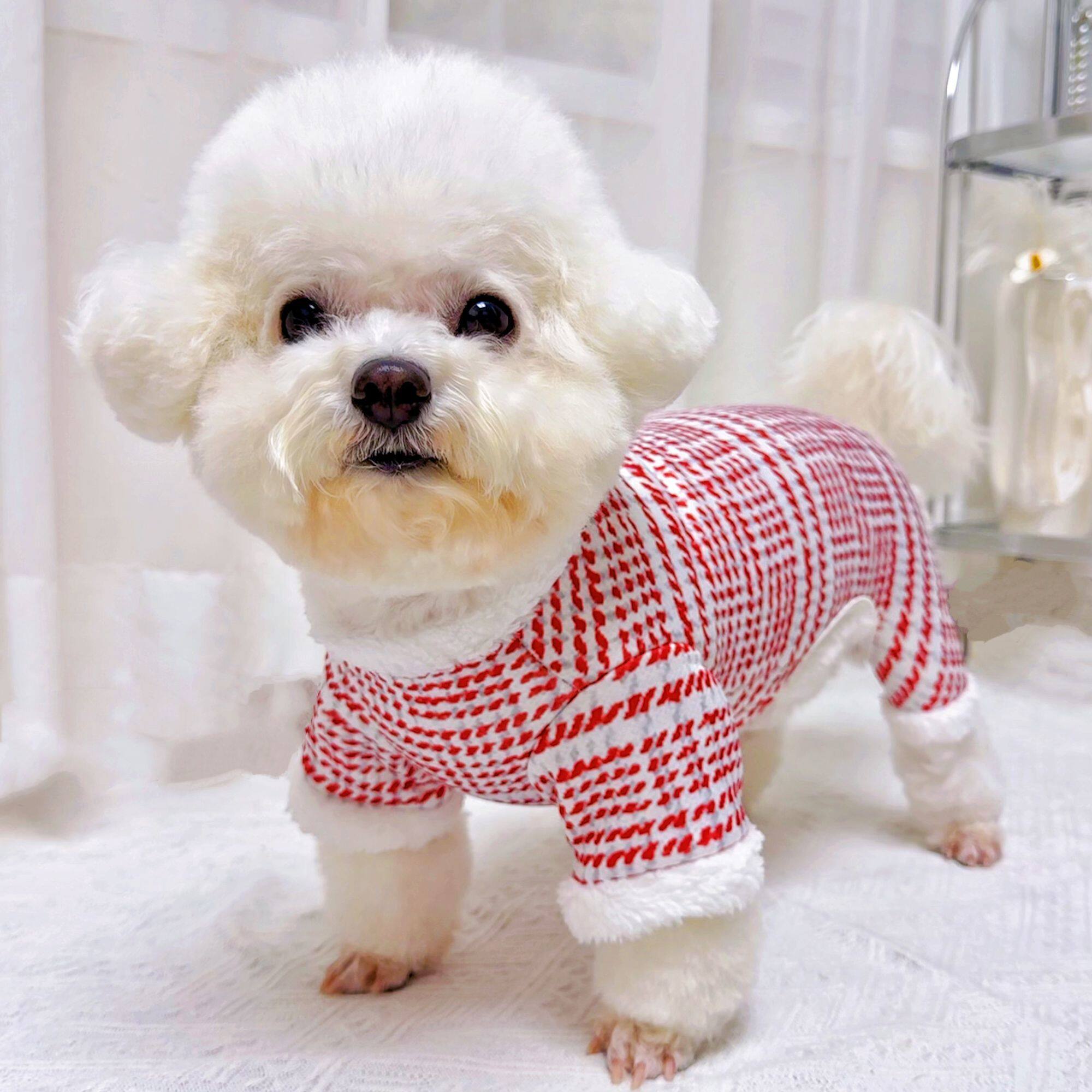 小狗外出防脏衣服狗狗衣服秋冬款小中犬泰迪比熊博美四脚衣保暖大