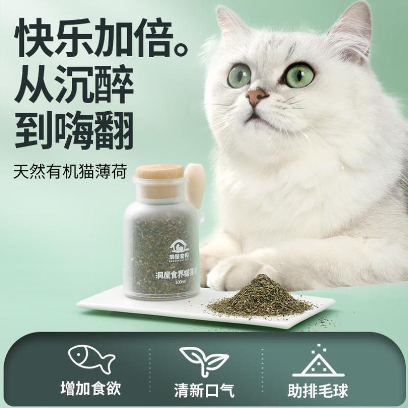 猫薄荷粉球猫咪草化毛零食用饮水营养猫薄荷茶捕养猫宠物玩具用品