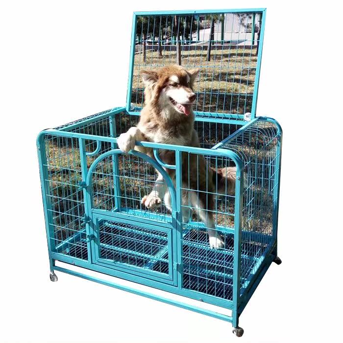 阿拉斯加耐咬室内狗笼子中型犬塑料托盘中大型贵宾拉布拉多笼养在类目 宠物/宠物食品及用品, 猫/狗日用品, 笼子中 - 来自Buy2taobao.com提供专业的淘宝代购服务