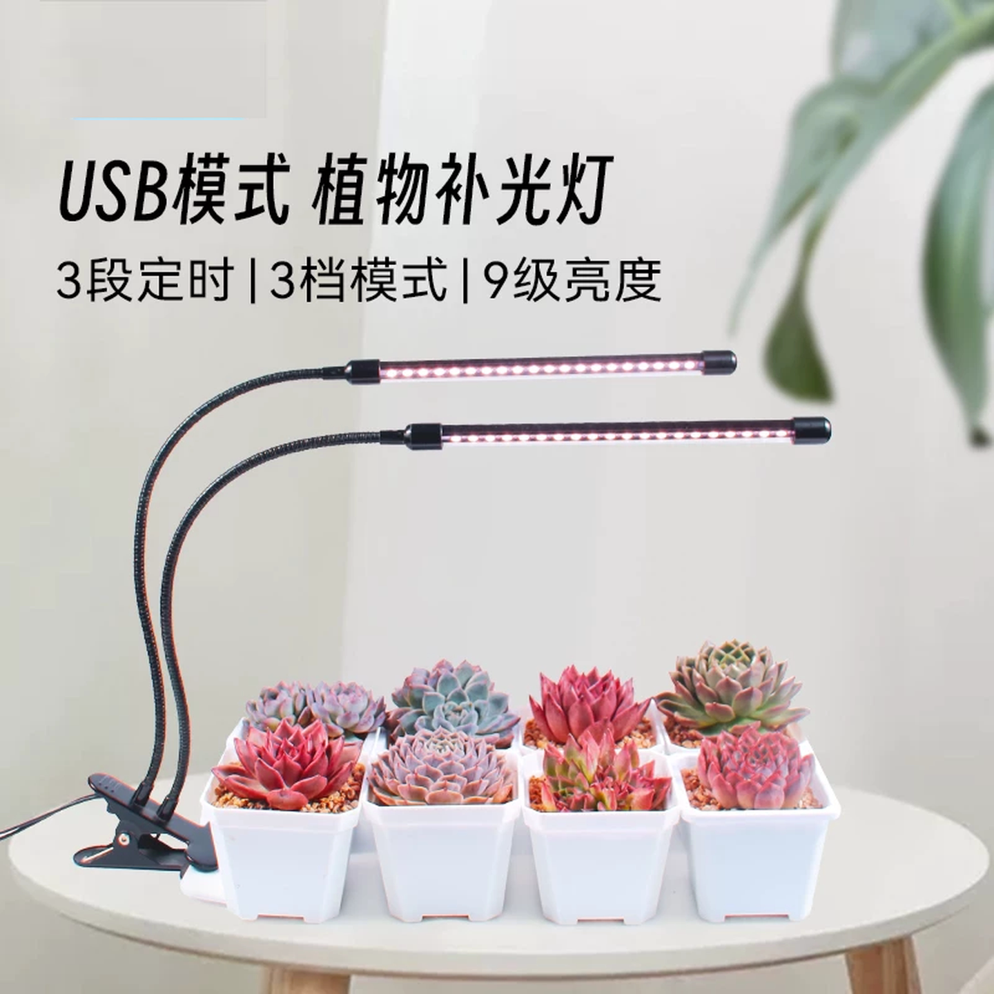 多肉补光灯植物生长灯室内绿植仿太阳全光谱上色专用usb家用led灯
