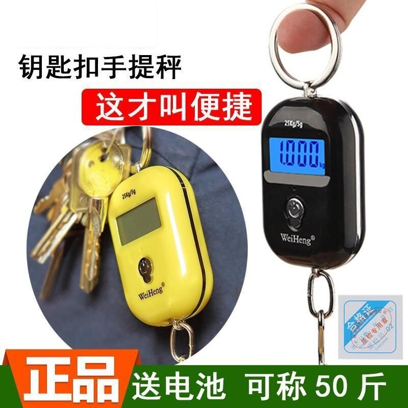 电子秤小型手提精准迷你高精度家用便携式吊秤弹簧秤钩称行李称克