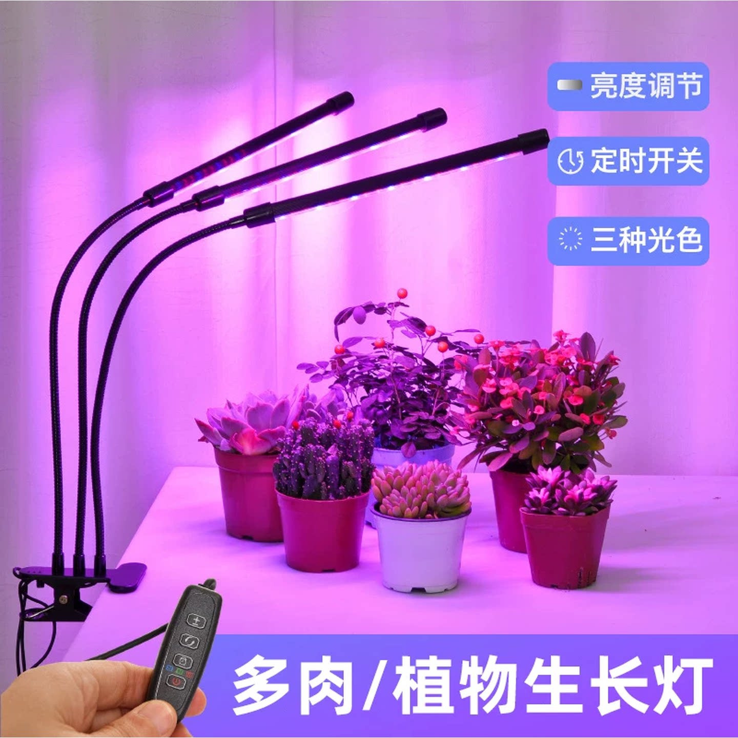 多肉补光灯全光谱LED仿太阳光紫光植物生长灯usb室内花卉家用上色