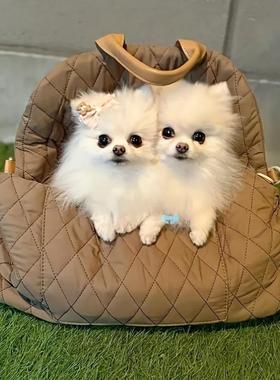 Portable Pet Outing Tote Bag Car Seat For Dogs Travel Bag