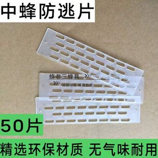 防逃片中蜂蜜蜂防逃王片蜂王防跑网框蜂箱巢门防盗蜂隔王片蜂具